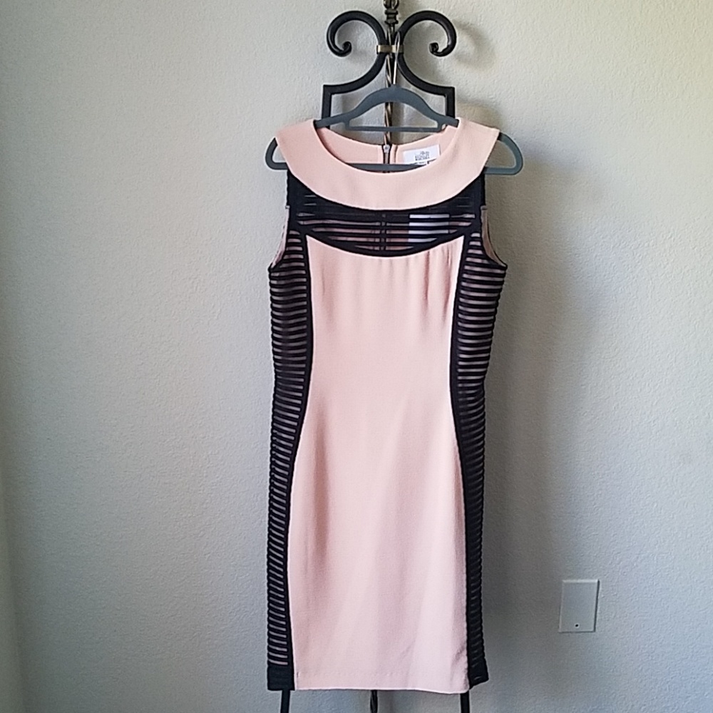 Badgley Mischka Pink and Black Sheath Dress
